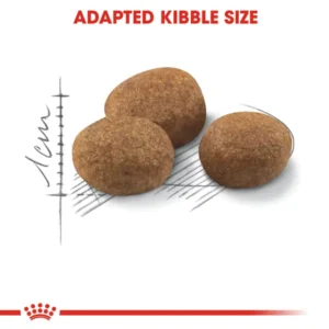 غذای خشک گربه استرلایزد +7 رویال کنین وزن 1.5 کیلوگرم