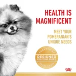 غذا خشک سگ رویال کنین مدل pomeranian وزن 3 کیلوگرم