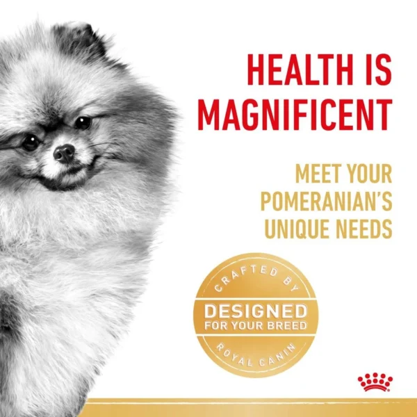 غذا خشک سگ رویال کنین مدل pomeranian وزن 3 کیلوگرم