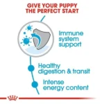 غذا خشک سگ رویال کنین مدل pomeranian وزن 3 کیلوگرم