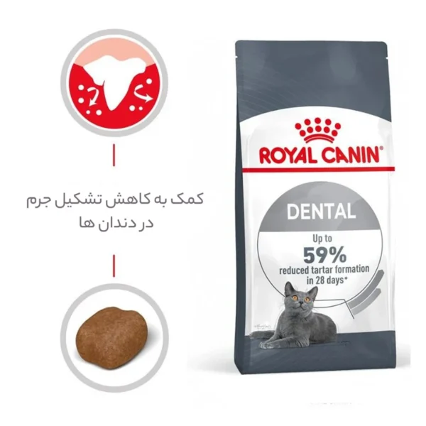 غذای خشک گربه دنتال کر رویال کنین وزن 1.5 کیلوگرم