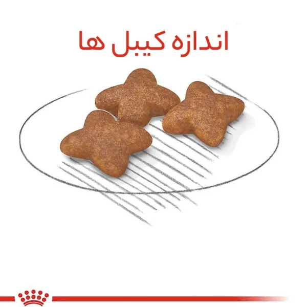 قیمت غذای خشک رویال کنین مینی ادالت وزن 4 کیلوگرم