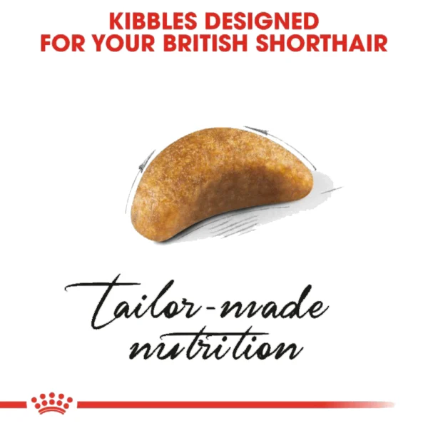 غذای خشک بریتیش کیتن رویال کنین وزن 2 کیلوگرم