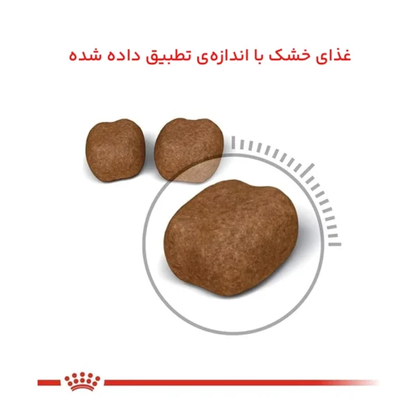 غذای خشک گربه دنتال کر رویال کنین وزن 1.5 کیلوگرم
