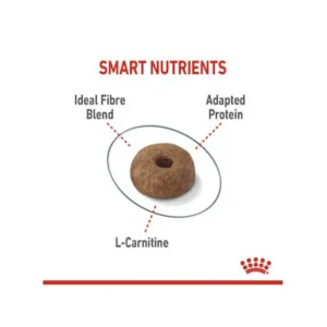 غذای خشک گربه لایت ویت  رویال کنین وزن 1.5 کیلوگرم