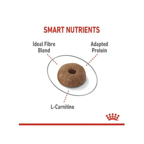 غذای خشک گربه لایت ویت  رویال کنین وزن 1.5 کیلوگرم