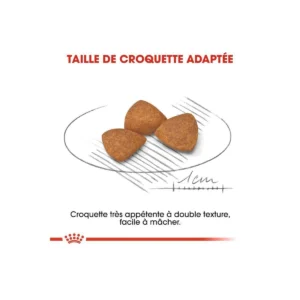 غذای خشک ایکس اسمال ایجینگ +12 وزن 1/5 کیلوگرم