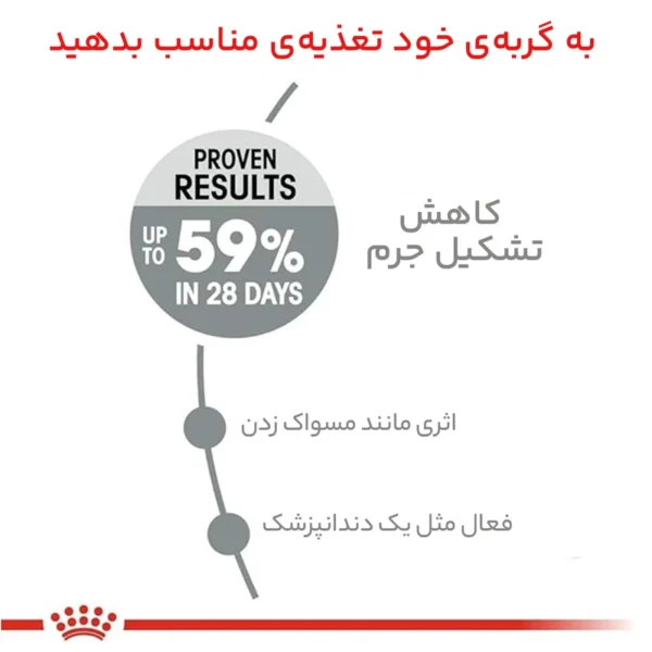 غذای خشک گربه دنتال کر رویال کنین وزن 1.5 کیلوگرم