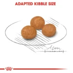 غذای خشک رویال کنین مدل x-small adult وزن 1.5 کیلوگرم