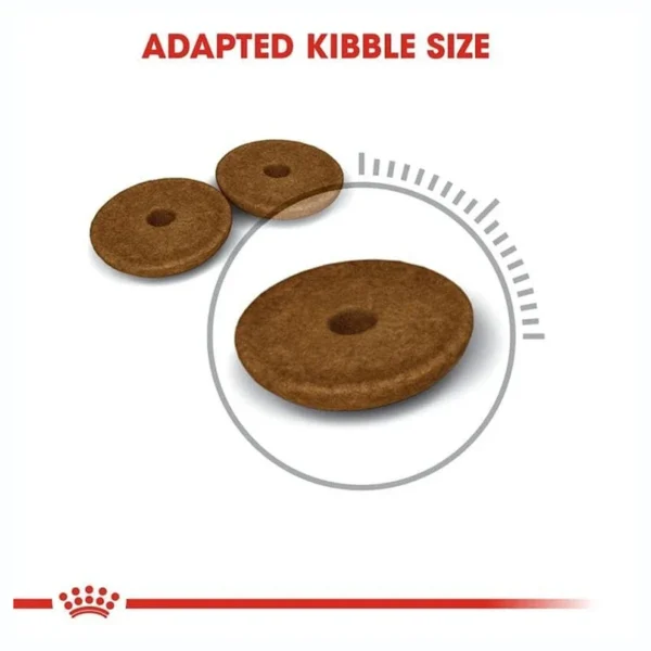 غذای خشک گربه داجستیو کر رویال کنین وزن 2 کیلوگرم