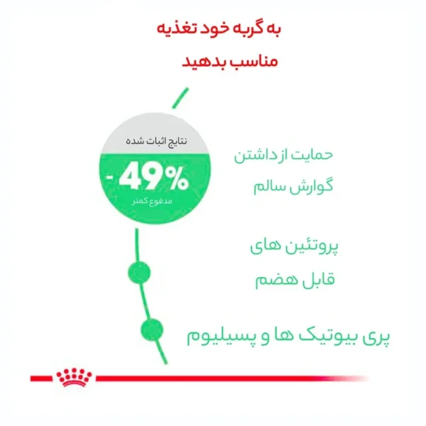 غذای خشک گربه داجستیو کر رویال کنین وزن 2 کیلوگرم