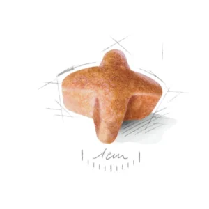 غذای خشک سگ ژرمن شپرد رویال کنین 11 کیلوگرم