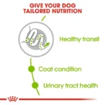 غذای خشک رویال کنین مدل x-small adult وزن 1.5 کیلوگرم