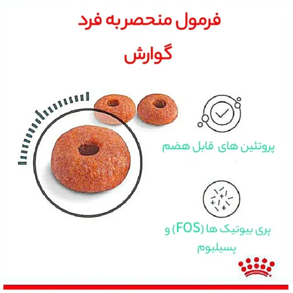 غذای خشک گربه داجستیو کر رویال کنین وزن 2 کیلوگرم