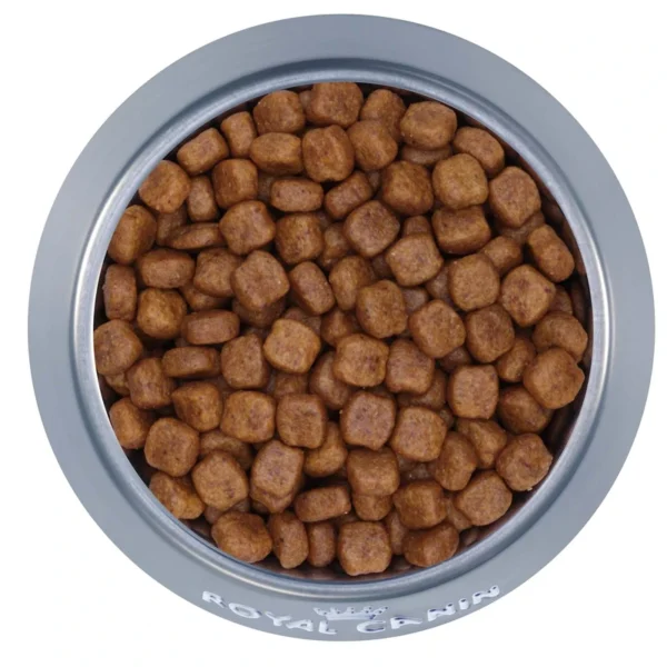 غذای خشک پودل ادالت وزن 3 کیلوگرم