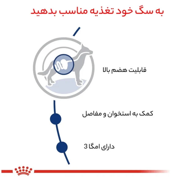 غذای خشک سگ رویال کنین مدل Maxi Adult وزن 15 کیلوگرم