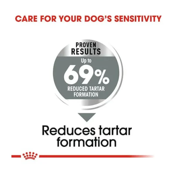 غذای خشک مینی دنتال کر رویال کنین وزن 3 کیلوگرم