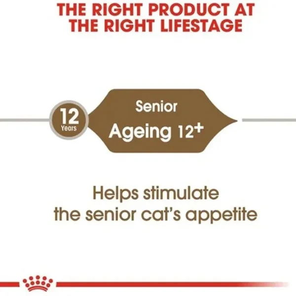 غذای خشک گربه ایجینگ +12 رویال کنین وزن 2 کیلوگرم