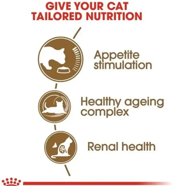 غذای خشک گربه ایجینگ +12 رویال کنین وزن 2 کیلوگرم