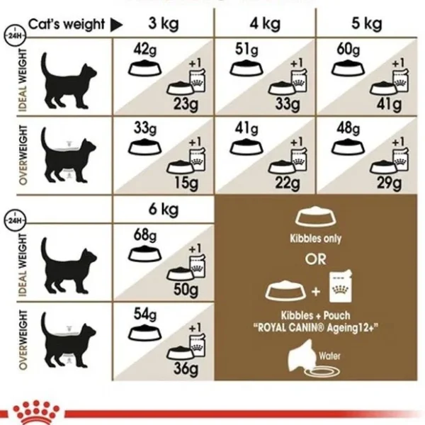 غذای خشک گربه ایجینگ +12 رویال کنین وزن 2 کیلوگرم
