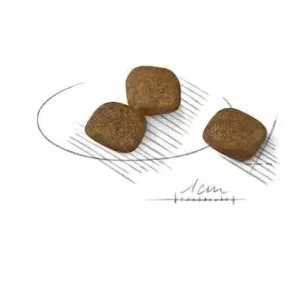 غذای خشک مینی کوت کر رویال کنین وزن 3 کیلوگرم