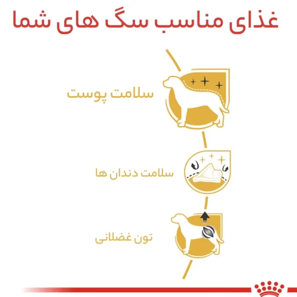 غذای خشک پودل ادالت وزن 3 کیلوگرم