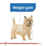 غذای خشک سگ رویال کنین مدل Mini Light Weight وزن 3 کیلوگرم