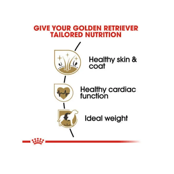 غذای خشک گلدن رتریور رویال کنین وزن 12 کیلوگرم