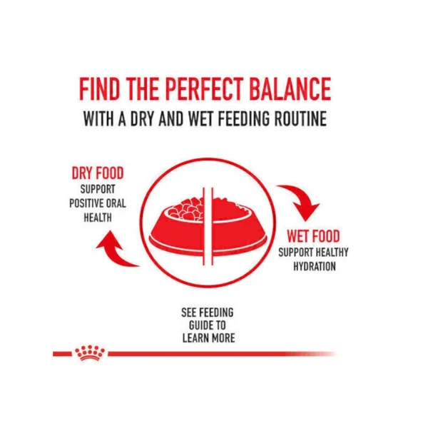 غذای خشک گلدن رتریور رویال کنین وزن 12 کیلوگرم