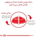 غذای خشک پودل ادالت وزن 3 کیلوگرم