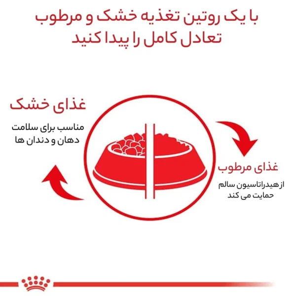 غذای خشک پودل ادالت وزن 3 کیلوگرم
