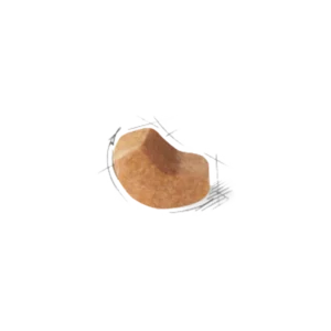 غذای خشک پاپی شیتزو رویال کنین وزن 1.5 کیلوگرم