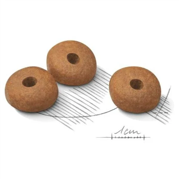 غذای خشک سگ مدیوم لایت ویت کر رویال کنین وزن 12 کیلوگرم