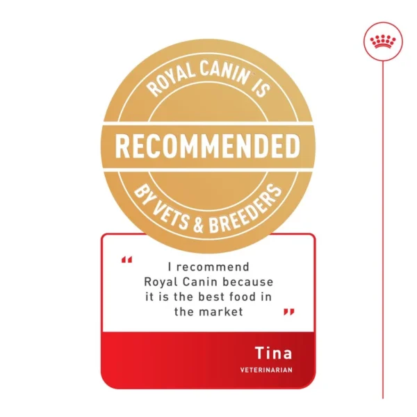 غذای خشک سگ کوکر رویال کنین وزن 3 کیلوگرم