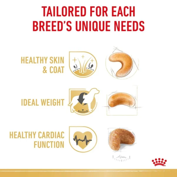 غذای خشک سگ کوکر رویال کنین وزن 3 کیلوگرم