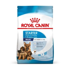 غذای خشک پاپی مکسی استارتر رویال کنین وزن 15 کیلوگرم