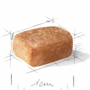 غذای خشک شی هواهوا پاپی رویال کنین وزن 1.5 کیلوگرم