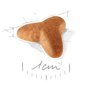 غذای خشک پاگ پاپی رویال کنین وزن 1.5 کیلوگرم