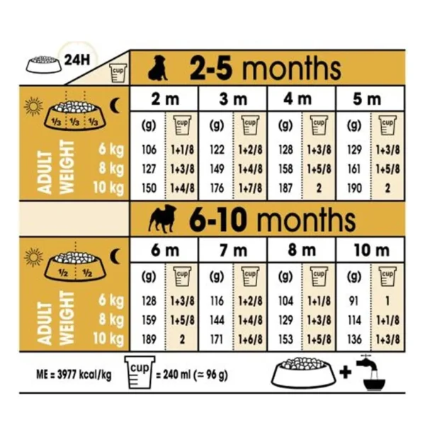 غذای خشک پاگ پاپی رویال کنین وزن 1.5 کیلوگرم