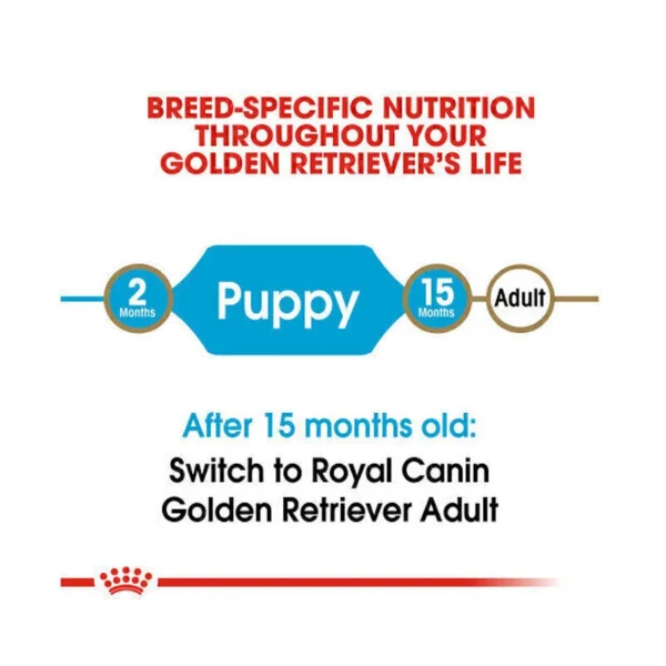 غذای خشک پاپی گلدن رتریور رویال کنین 12 کیلوگرم