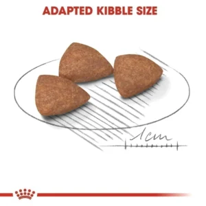 غذای خشک مینی ایندور پاپی