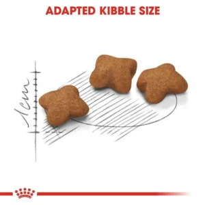 غذای خشک استرلایز کیتن رویال کنین وزن 2 کیلوگرم