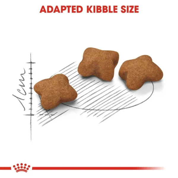 غذای خشک استرلایز کیتن رویال کنین وزن 2 کیلوگرم