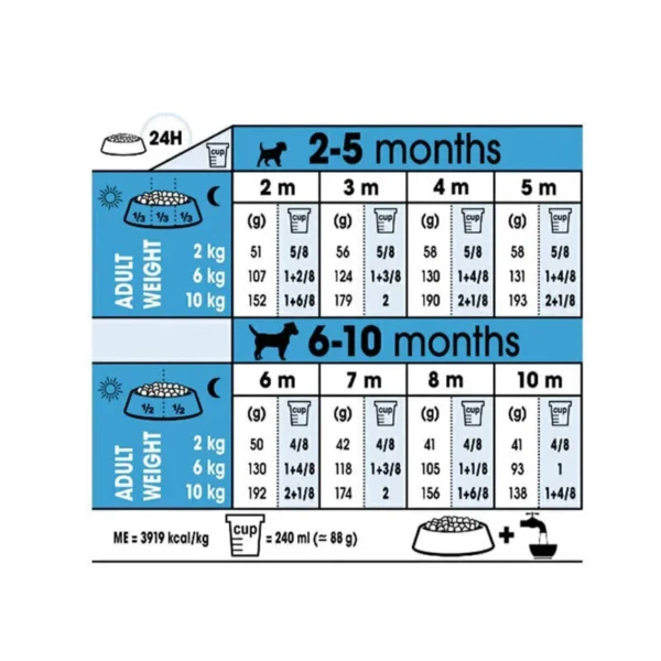 غذای خشک مینی ایندور پاپی