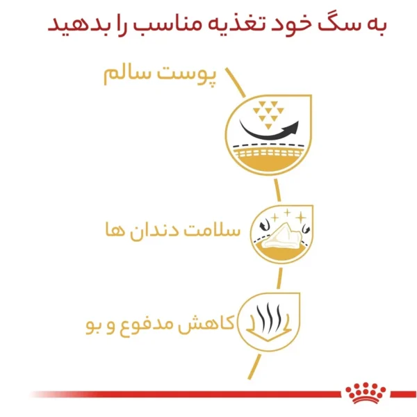 غذای خشک شیتزو رویال کنین مدل 1.5 کیلوگرم