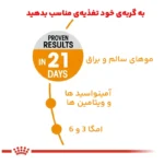 غذای خشک گربه هیر اند اسکین رویال کنین وزن 2 کیلوگرم
