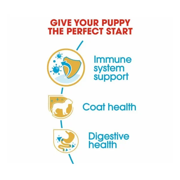 غذای خشک پاپی یورکشایر تریر رویال کنین وزن 1.5 کیلوگرم