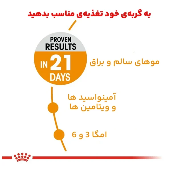 غذای خشک گربه هیر اند اسکین رویال کنین وزن 2 کیلوگرم