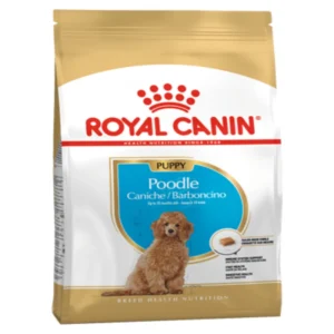 غذای خشک پودل پاپی رویال کنین وزن 3 کیلوگرم