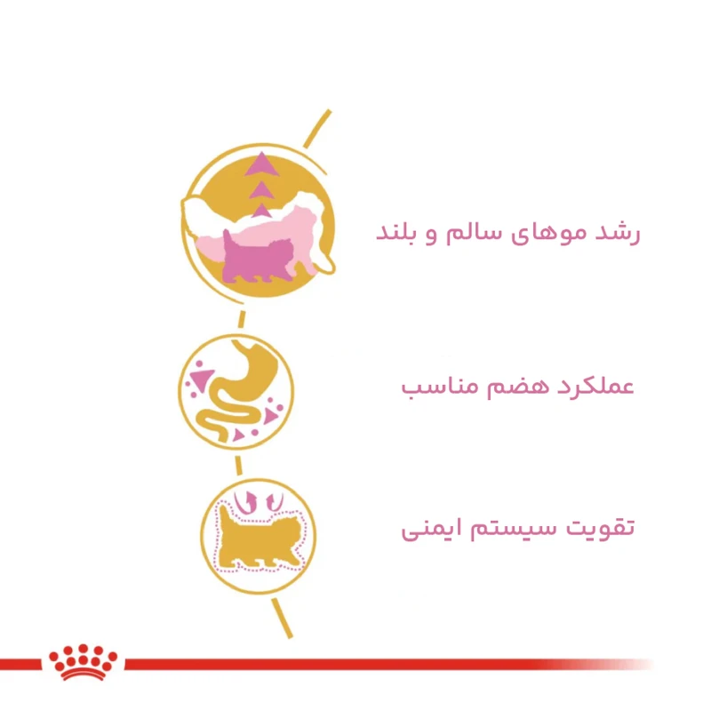 غذای خشک پرشین کیتن رویال کنین وزن 2 کیلوگرم